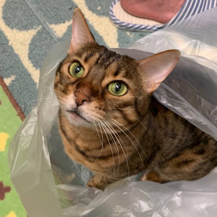 Ede54a0f cf27 4a98 87ae 69cf095c895f 1600902628243