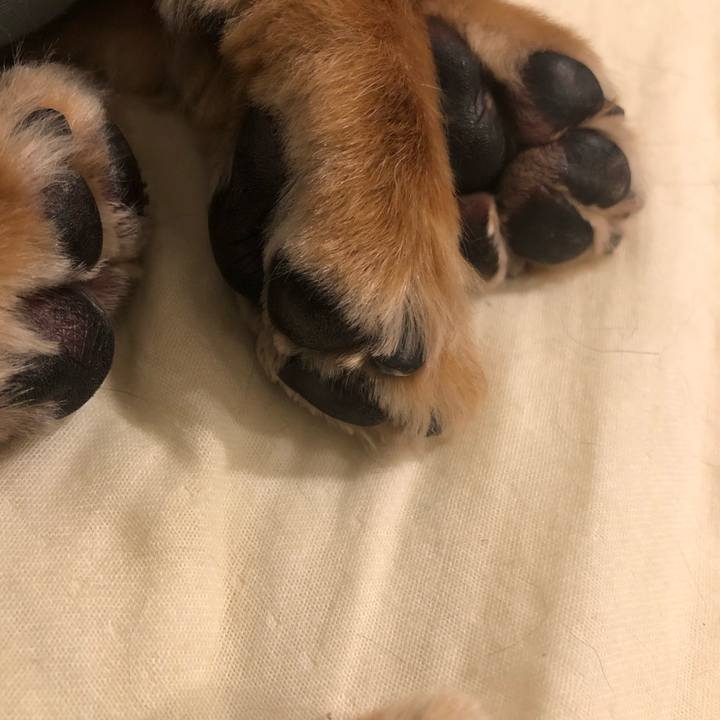 Ede5504a b3a7 4418 8661 401ccb0c4ad1 1624112242011