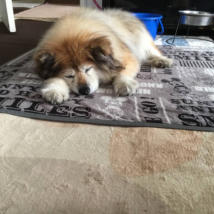 Ede5b829 3d7e 451a 8189 de1a694213d2 1560553537962