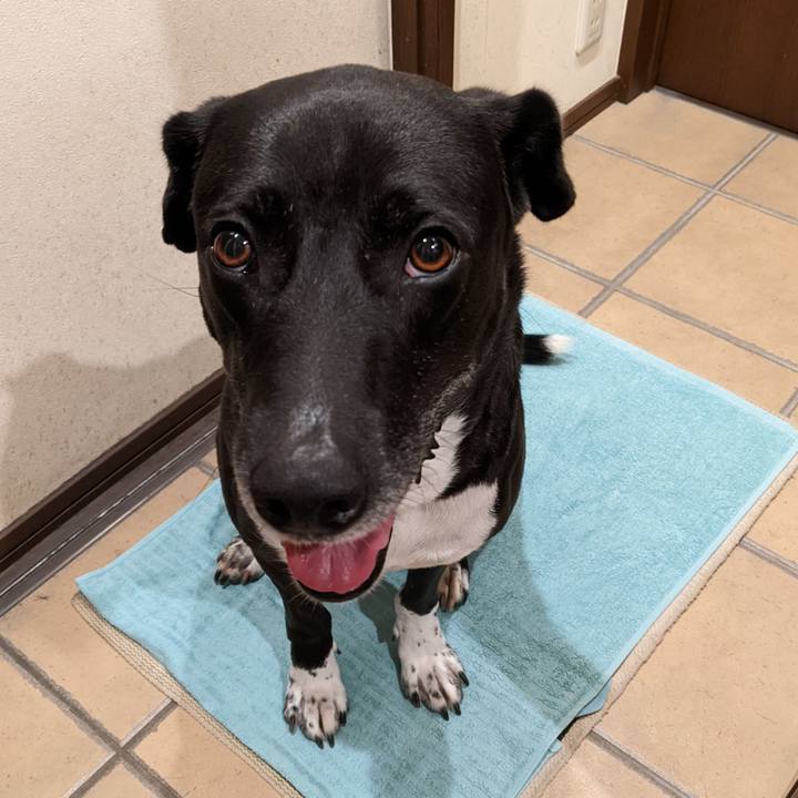 Ede5c554 cbb1 4bbd b6e2 ca257ade38ef 1653302824893