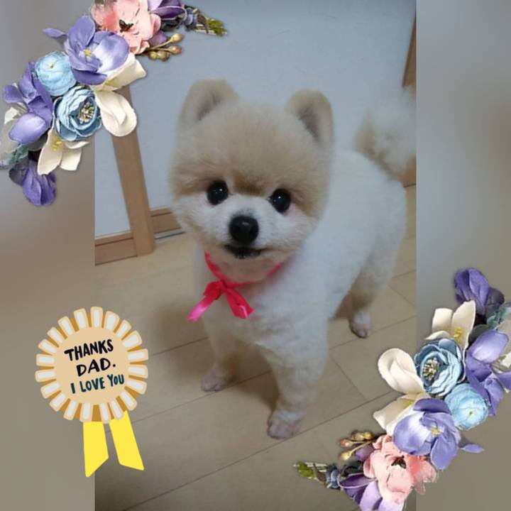 Ede5e3f5 da15 4e5c 9695 95606760ab19 1592693045362