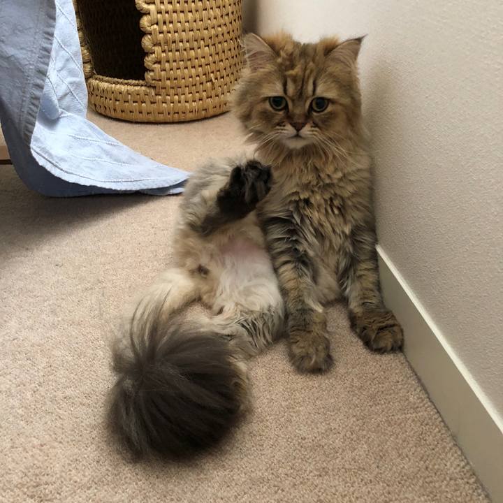 Ede5fd08 3fe3 4168 aa14 78cceef2b00b 1528933439862