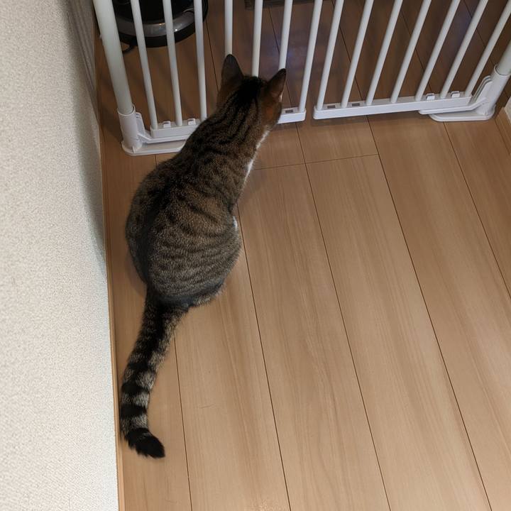 Ede60d24 eb2b 4289 9aef 5597937c32c8 1699402430534