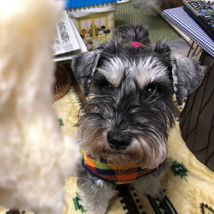 Ede610ac 874a 43ed bd67 686bc98a2162 1616317520755