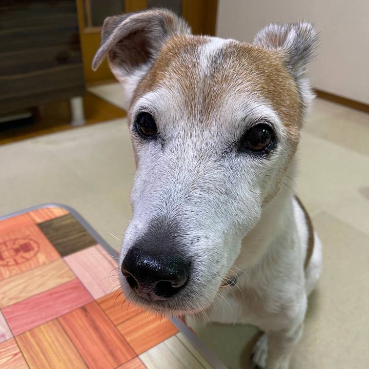 Ede62a49 3746 457f 8b8f 72b1c8ba82a3 1610826069648