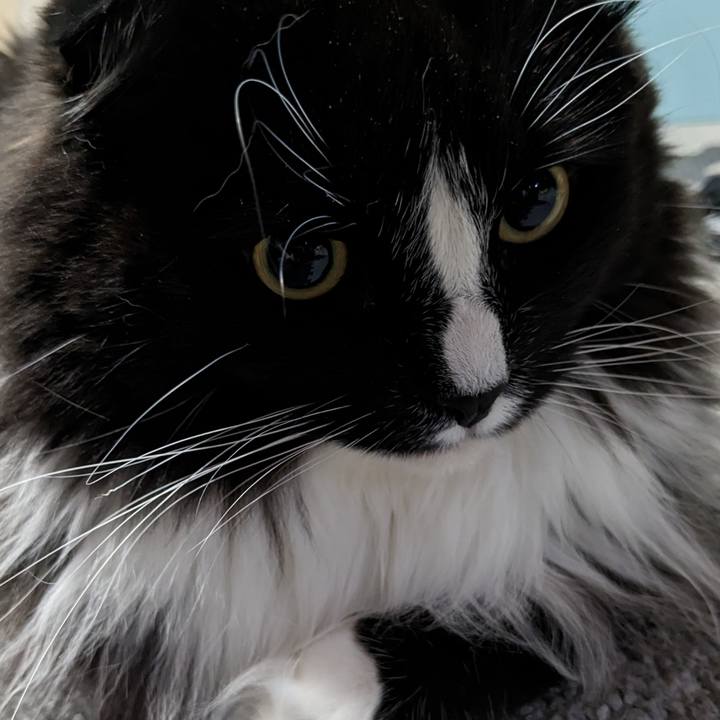 Ede63397 f262 4465 80df 7aadbbf062fd 1680910743299