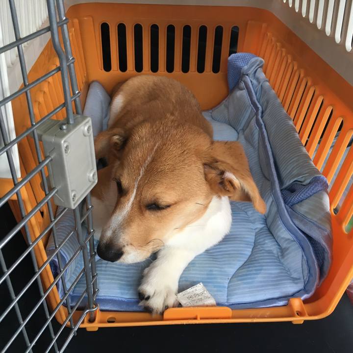 Ede661c8 df88 458f a69f e4b00665b695 1593312594517