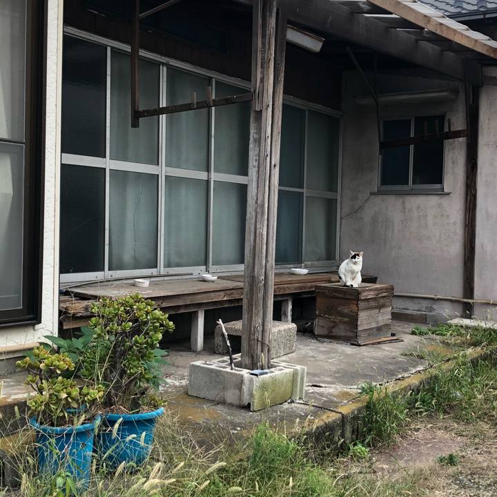 Ede675f5 6eb3 4107 9336 4ec24a79d24b 1603575460291