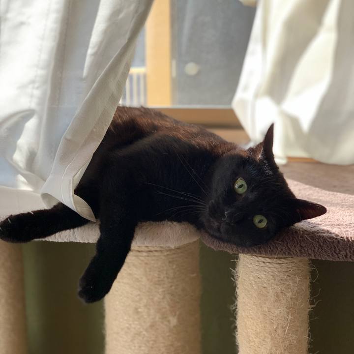 Ede68980 3a20 4651 8f37 6f7cd0b91dbb 1554339968181