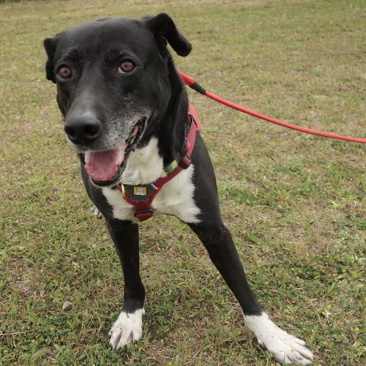 Ede6fa21 824f 4c54 ba94 db1305c73542 1682301855827