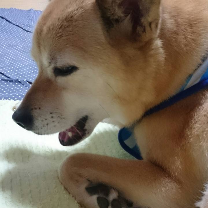 Ede6fea0 77cd 4efc 96b6 e40ec964e554 1525067248979