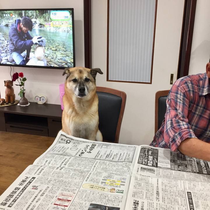 Ede71ede 24d6 45b9 876b 0b3793b15b42 1539385505513