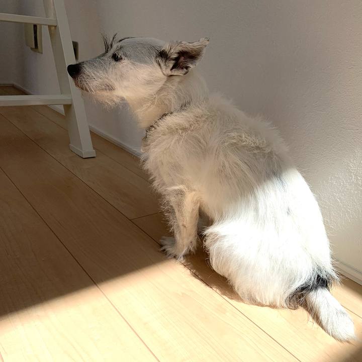 Ede72101 b5e6 42b3 8b54 edf76a9d457f 1726197446488