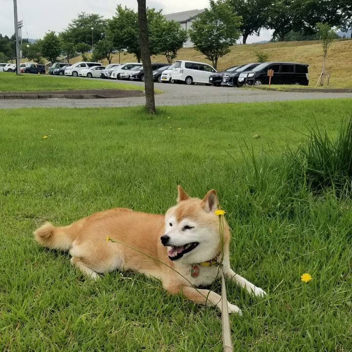 Ede74b51 1d05 4f83 b7b8 e71cdabe100a 1688784590880