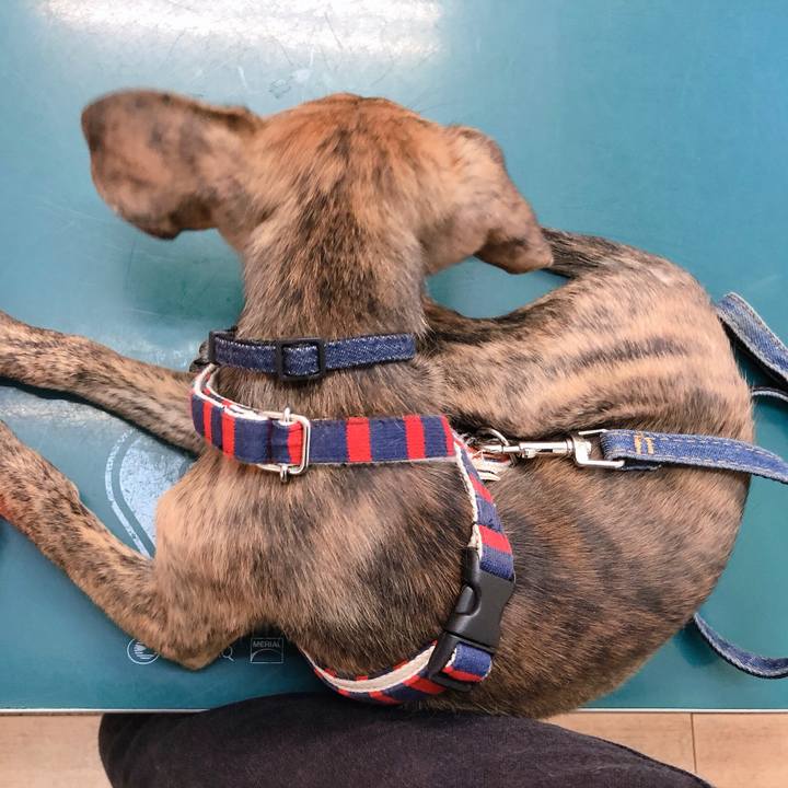 Ede771e2 e08a 4248 a983 7a6ee2d11538 1568011886333