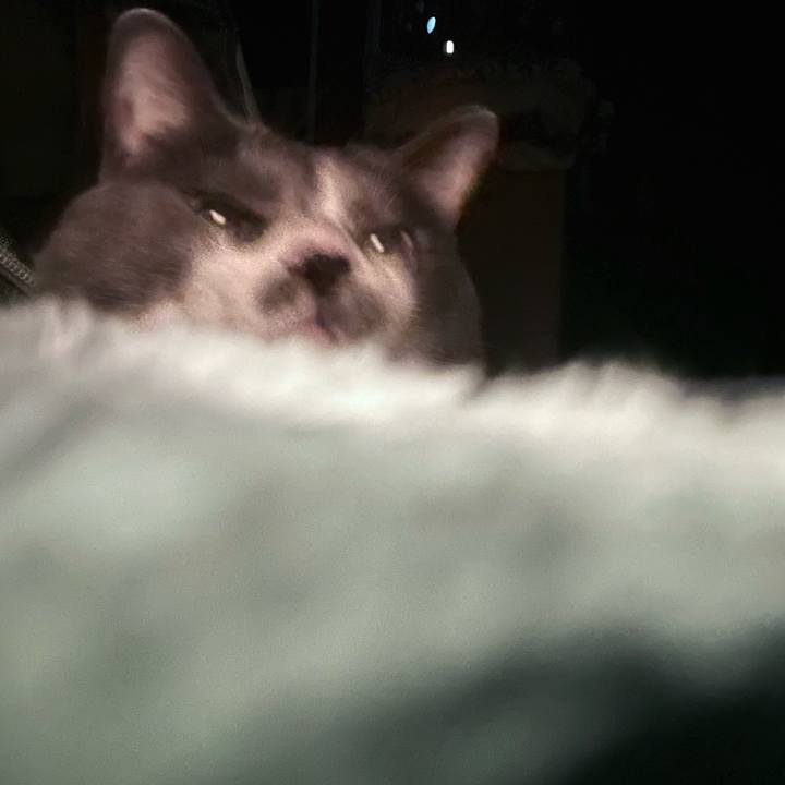 Ede82b5f 3988 4452 808a 621dea2b1ead 1719521754128