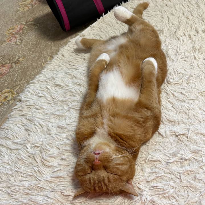 Ede83371 4bbc 4291 bf1a d4959c7e4a38 1653728862555