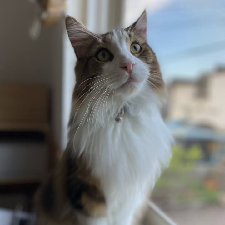 Ede84780 425d 4bbc 9f29 c5593659c3d4 1653769957397