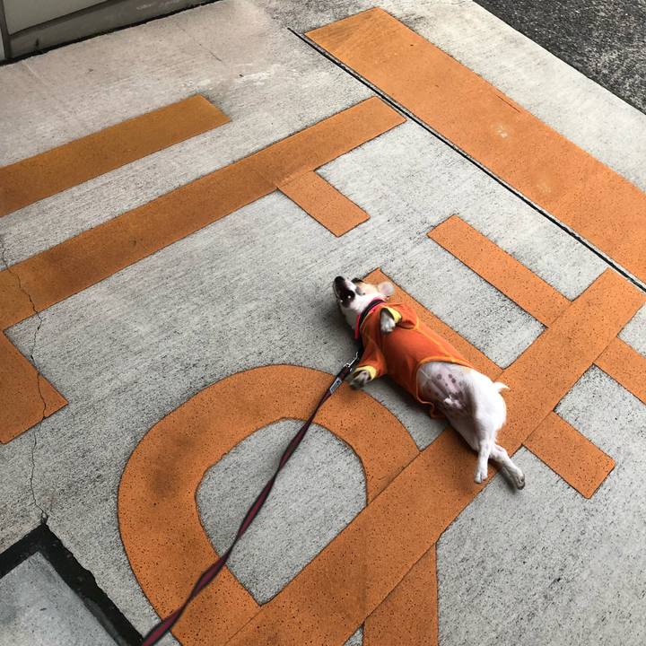 Ede85424 089c 47e3 abed 58078e6e4227 1561076481574