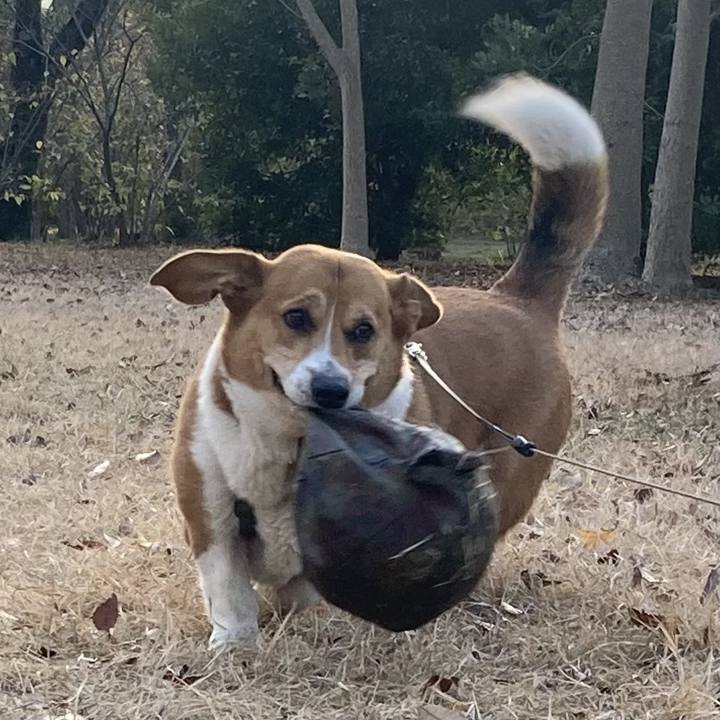 Ede85c18 7de5 4d32 b3ae 7472a2bfd37d 1766310924307