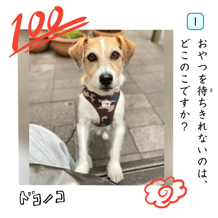 Ede8cc4e 0c6e 4870 9ff2 f754259d9916 1744444747797