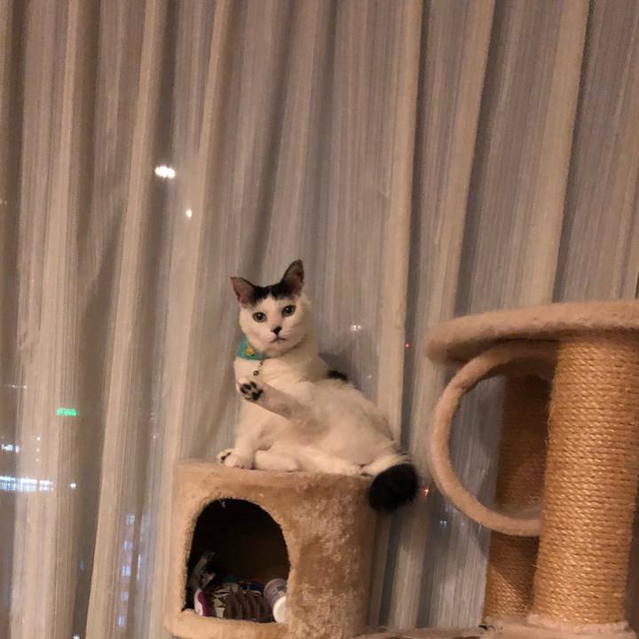 Ede8d4dd ea6d 4f7c 846f 43639c2086f8 1537189434653