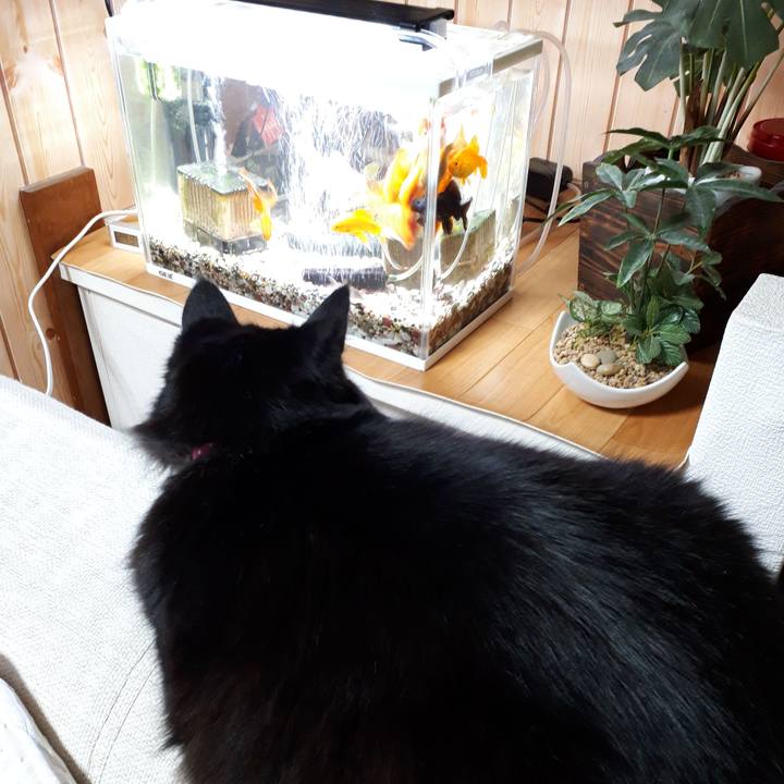 Ede91903 a1b5 41dd 9675 03d96cf3edbc 1518897578277