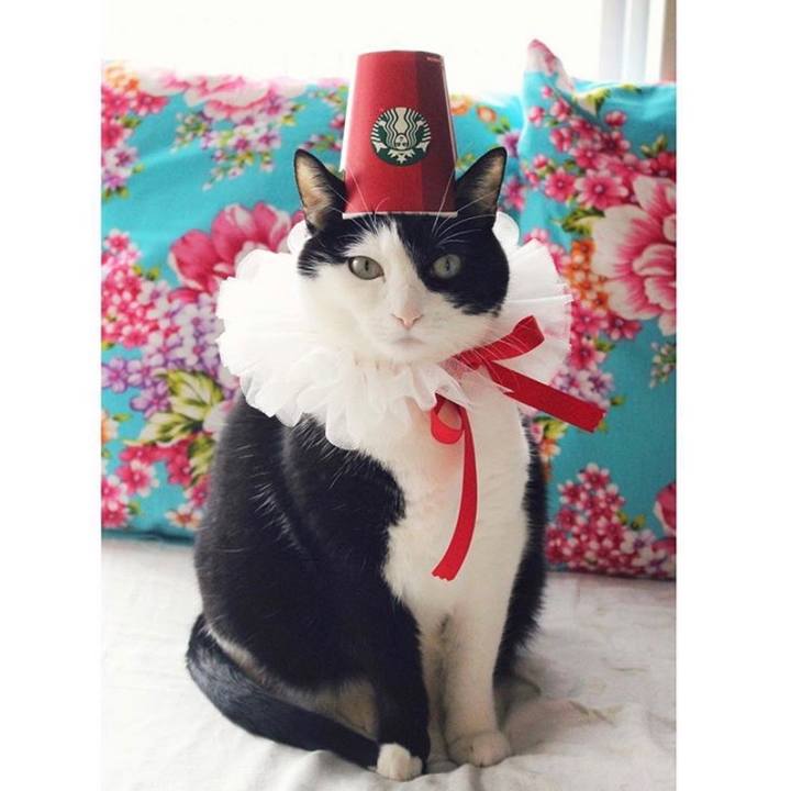 Ede9209b 405f 4521 a4c3 378f59fd7255 1556586920513