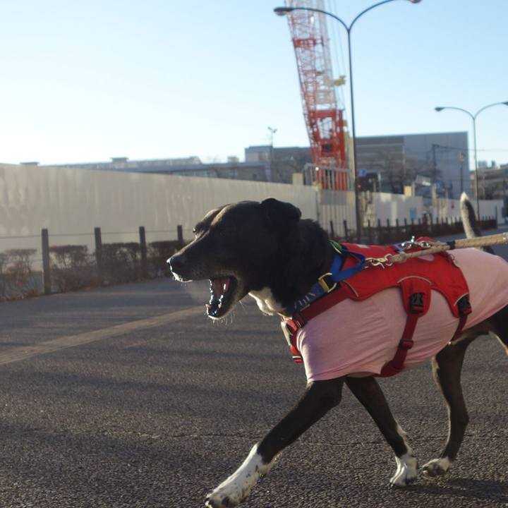 Ede938ef f4c8 4f34 a5aa 8412bd4f2b67 1675038696767