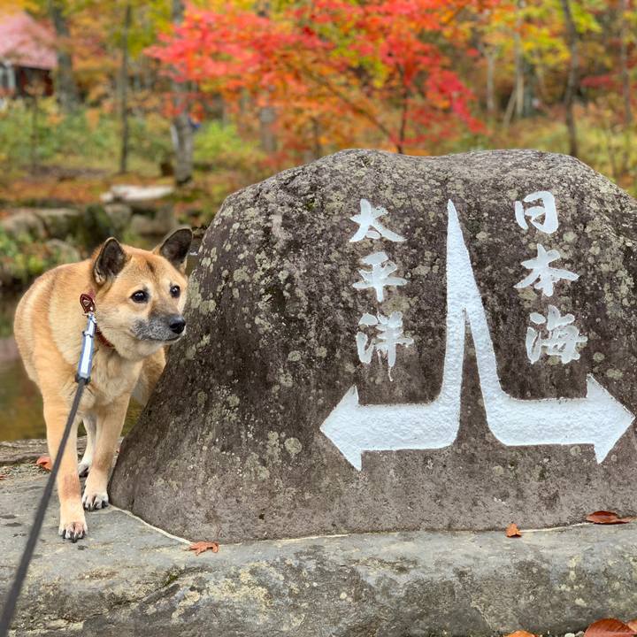 Ede97637 e11f 40ea 8e0d 52d7be6dba4b 1540727647424