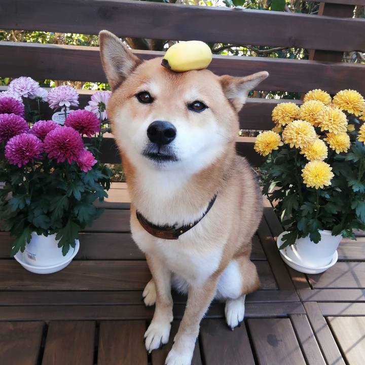 Ede97cea 33c0 4d15 a396 da0ed758855e 1606522782751