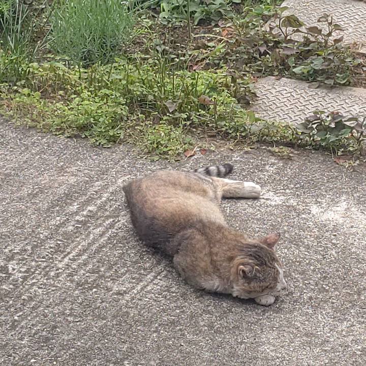 Ede9a736 3b3f 492e 9a14 e57074bdec07 1654438625459