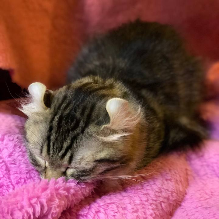 Ede9acd0 9cee 4696 98cb 3c7ee2350b4b 1516633354752