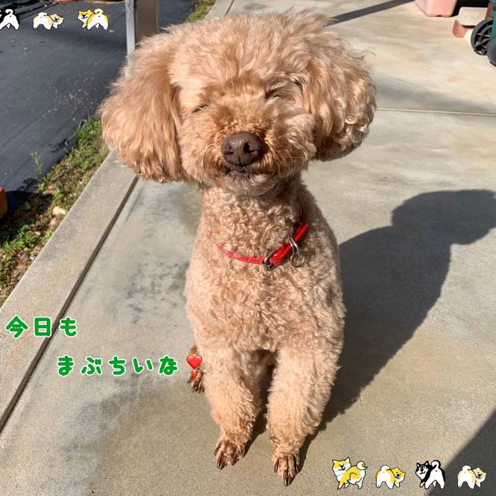 Ede9b492 5db5 4d35 b5da 949cb3e71bca 1541811233632