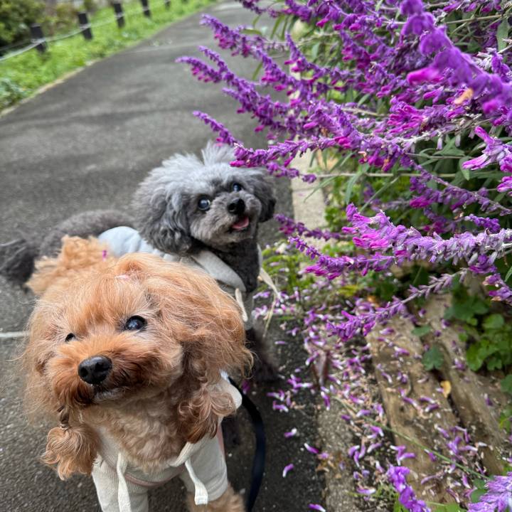 Ede9bfc4 992f 4807 bb42 13c83e38b57a 1762382199685