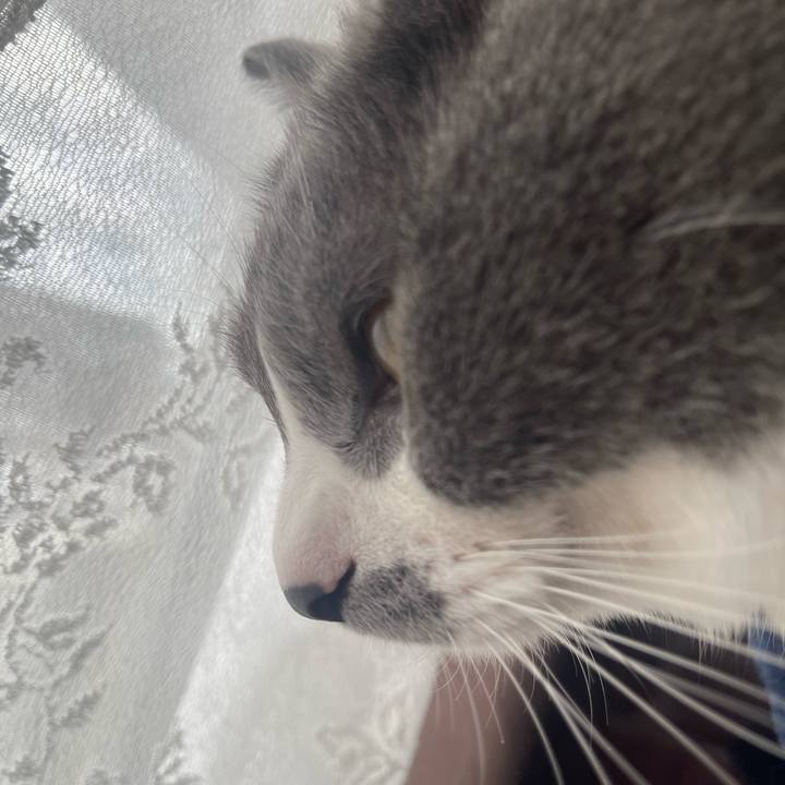 Ede9ea66 e0da 46fd be84 d704b9f7b45a 1691457030568