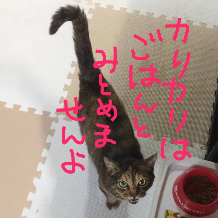 Ede9eb1f 8487 4b18 8b72 a58d9232dd6e 1591485858604