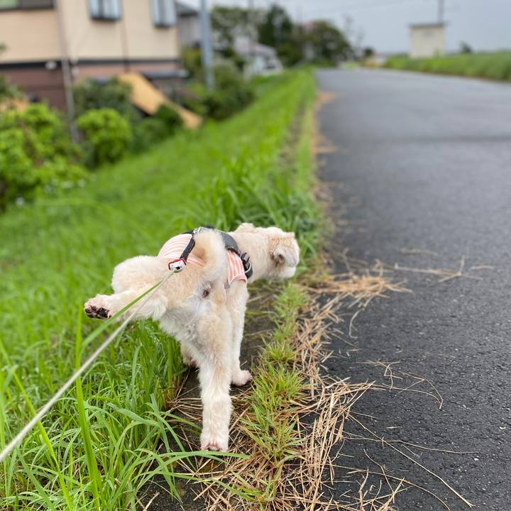 Edea15fa bb29 42ae 96c0 c5a54284d1d5 1600424912306