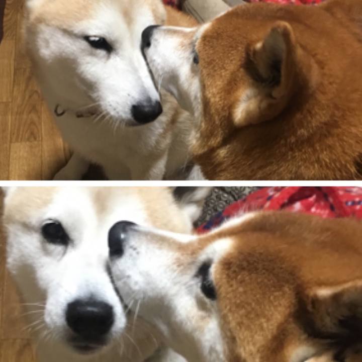 Edea3972 5719 4e5e a915 f6570db67fb1 1509109624874