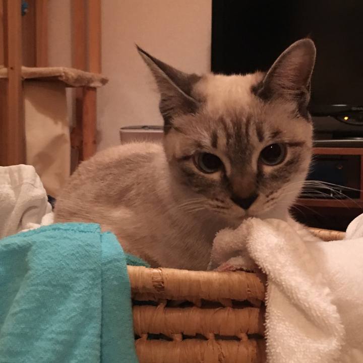 Edea8f8c 5466 40a1 8558 10a70a94c1c6 1545564873074