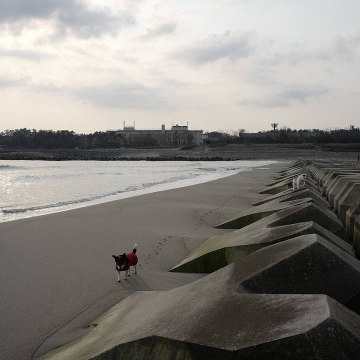 Edea9352 8339 4541 8a81 3877006a2e9a 1552365144656