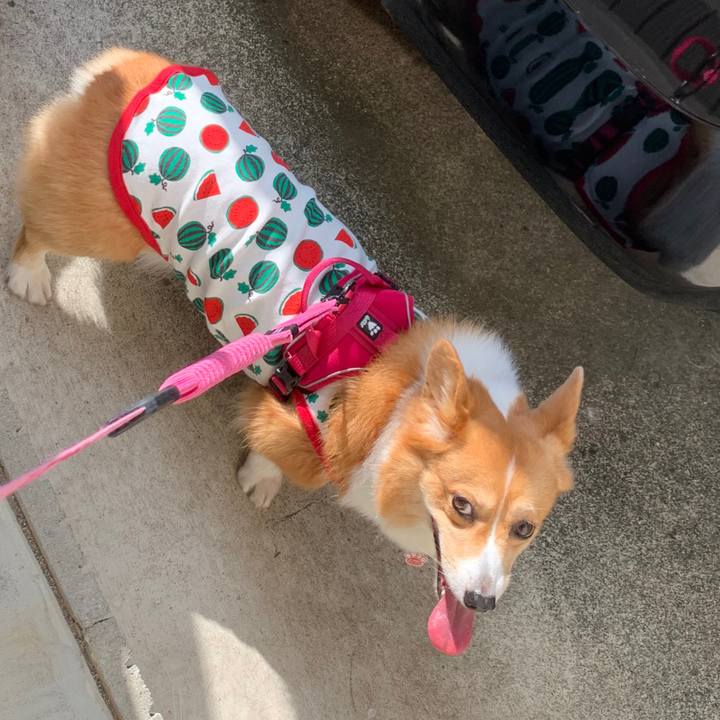 Edea9c34 2d3e 4f1d a05b 3de3cd49aff2 1599261163022