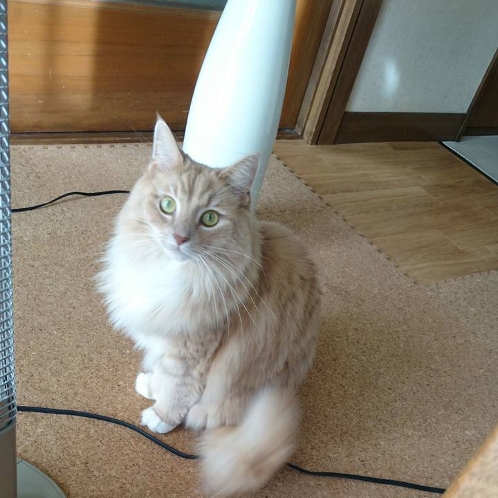 Edeaad43 7881 4918 b452 ffba790af697 1512881917269