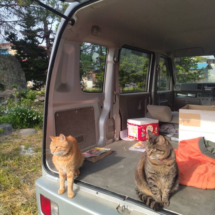 Edeac505 e22a 41f0 8a98 76940aa60ab5 1683928867364