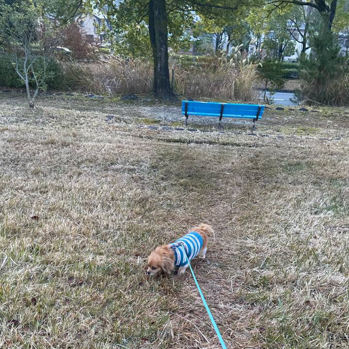 Edeba8a3 91e2 4b8d aecc 2d64d2f9b7b8 1608762083538