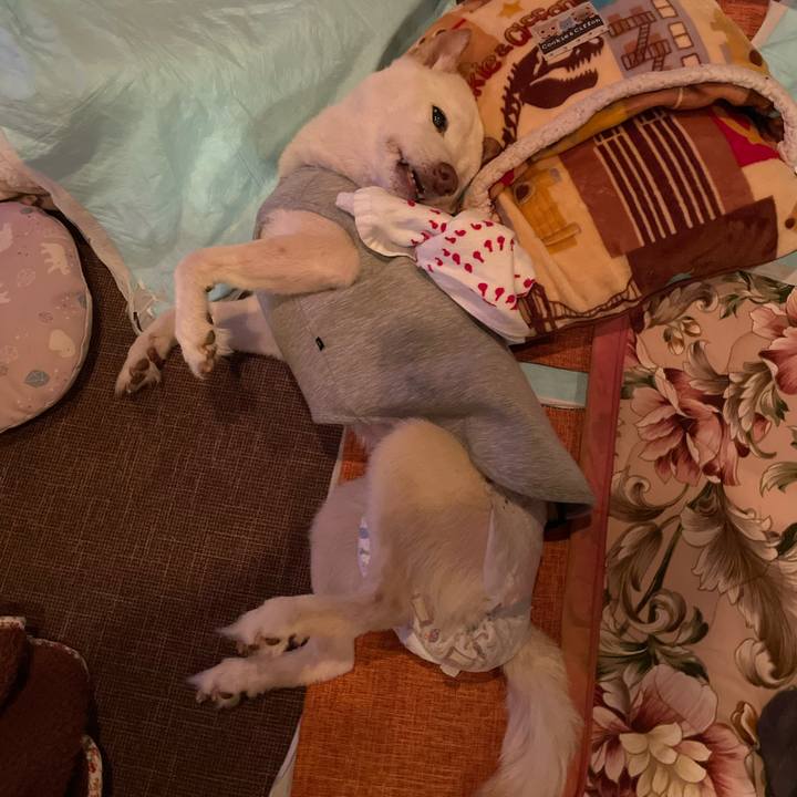 Edebd1a2 c6aa 4d5c bcd6 c69502ad890f 1670151949638