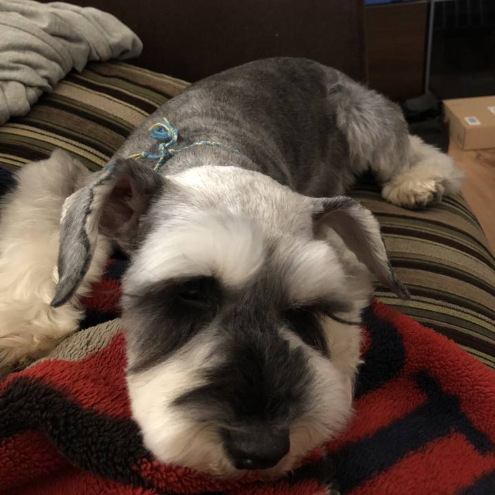 Edec4a32 4cf5 4111 92c6 38cebbd0d90f 1524972919807