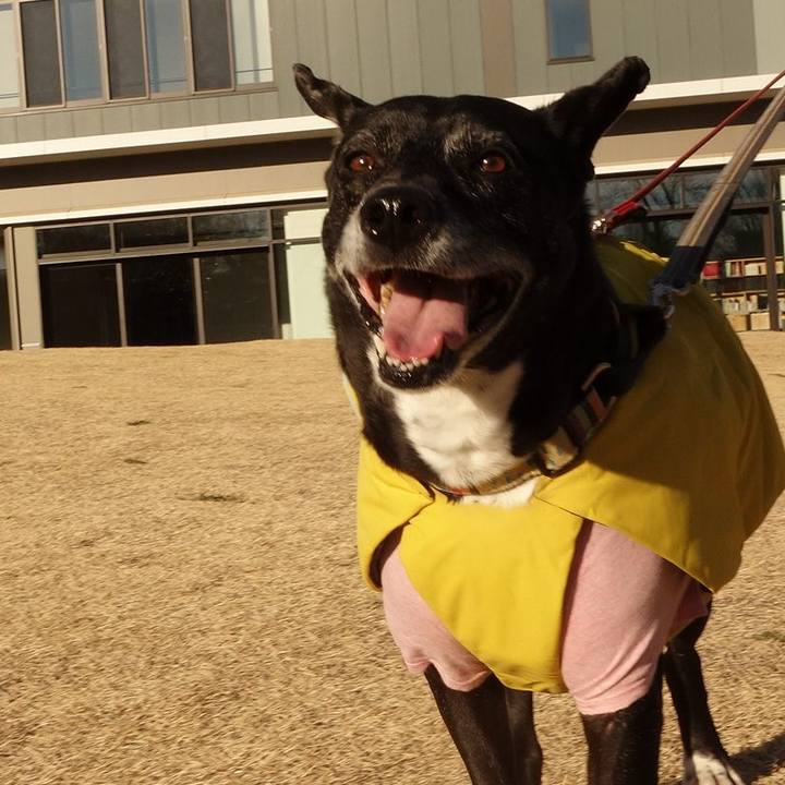 Edec510a ed86 4d1a b5b5 74f2e98782b7 1740358592335