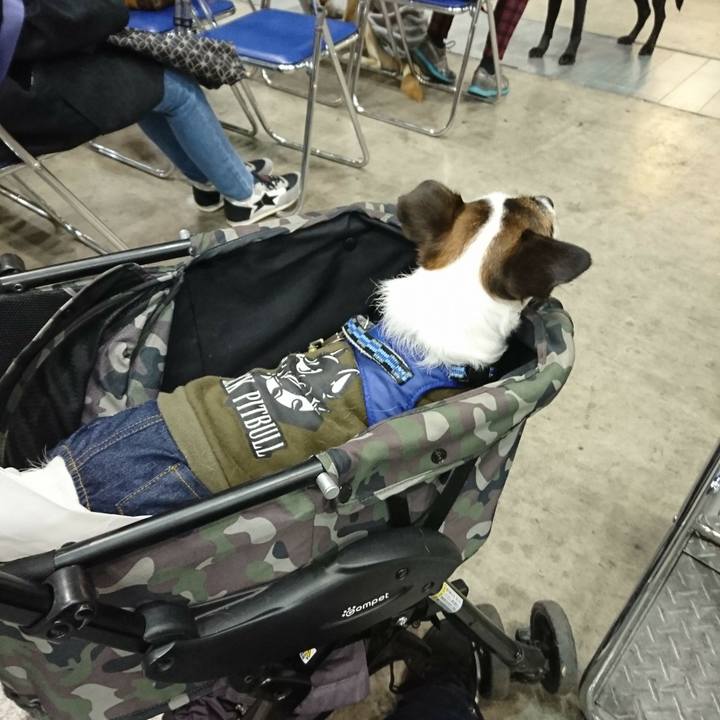 Edec5e5e aa0f 4867 8537 91b64c9c72e4 1515222241363