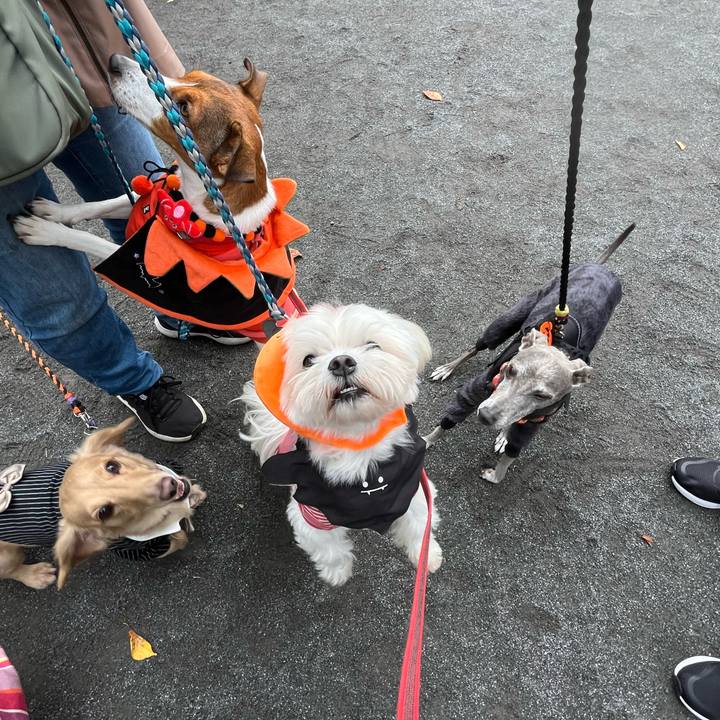 Edec6488 2816 45a6 a29e af844e2212b3 1761304968972